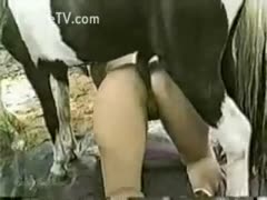 She Accepts a Horse's Dick in Her Butthole